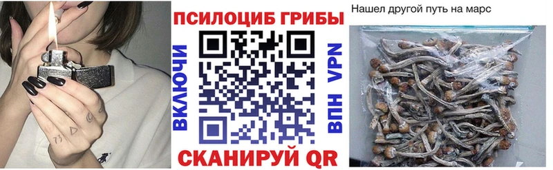 наркотики Электросталь Галлюциногенные грибы Psilocybine cubensis